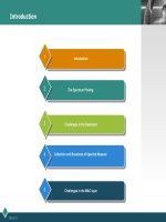 Thuyết trình chủ đề pectrum effiency