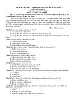 Đề thi HSG môn Tiếng Việt lớp 5 cấp huyện_3