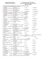 Đề thi thử THQG năm 2015 môn thi tiếng Anh Trường THPT Liễn Sơn - Vĩnh Phúc