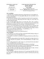 Đề thi học sinh giỏi lớp 12 THPT tỉnh Thanh Hóa năm học 2010 - 2011 môn Hóa học (Có đáp án)