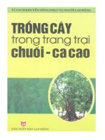 Ebook Trồng cây trong trang trại chuối ca cao - Nguyễn Văn Tô, Phan Thị Lài