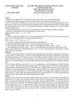 Đề thi học sinh giỏi lớp 11 THPT tỉnh Hà Tĩnh năm học 2012 - 2013 môn Hóa học - Có đáp án