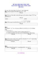 ĐỀ THI THỬ HSG MÁY TÍNH CASIO ĐỀ 10