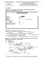 Đề thi học sinh giỏi Tiếng Anh lớp 10 số 5