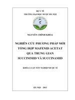 Nghiên cứu phương pháp mới tổng hợp mafenid acetat qua trung gian succinimid và succinamid