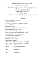 ngân hàng đề thi thực hành kế toán doanh nghiệ cao đẳng nghề đề số (29)
