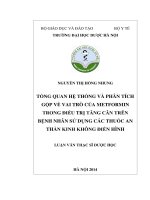 Tổng quan hệ thống và phân tích gộp về vai trò của metformin trong điều trị tăng cân trên bệnh nhân sử dụng các thuốc an thần kinh không điển hình