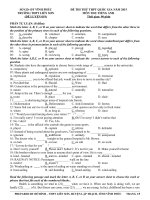 Đề thi thử THPT quốc gia môn Tiếng Anh số 19