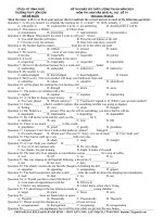 Đề khảo sát chất lượng môn Tiếng Anh lớp 12 ôn thi đại học số 74