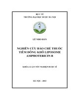 Nghiên cứu bào chế thuốc tiêm đông khô liposome amphotericin b