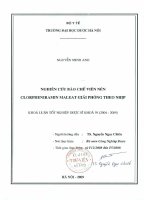 Nghiên cứu bào chế viên nén clorpheniramin maleat giải phóng theo nhịp