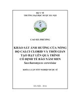Khảo sát ảnh hưởng của nồng độ calci clorid và thời gian tạo hạt đến quá trình cổ định tế bào nấm men sacharomyces cerevissiae
