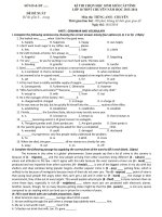 Đề thi học sinh giỏi Tiếng Anh lớp 10 số 29