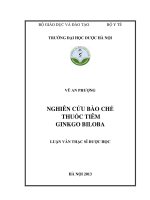 Nghiên cứu bào chế thuốc tiêm gingko biloba
