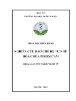 Nghiên cứu bào chế hệ tự nhũ hóa chứa piroxicam