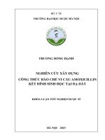 Nghiên cứu xây dựng công thức bào chế vi cầu amoxicillin kết dính sinh học tại dạ dày