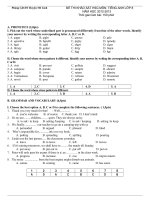 Đề thi học sinh giỏi Tiếng Anh lớp 8 số 17