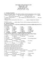 Đề thi học sinh giỏi, kiểm tra tiếng anh lớp 9 sưu tầm tham khảo ôn thi (68)