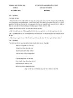 Đề thi ngữ văn lớp 9 vào 10 tham khảo sưu tầm bồi dưỡng ôn thi (3)