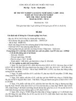 ngân hàng đề thi thực hành kế toán doanh nghiệ cao đẳng nghề đề số (15)