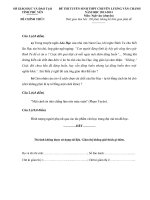 Đề thi ngữ văn lớp 9 vào 10 tham khảo sưu tầm bồi dưỡng ôn thi (6)