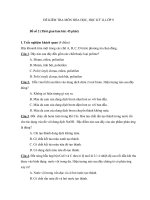 Đề kiểm tra học kì II lớp 9 môn Hóa học - Đề 2