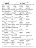 Đề khảo sát chất lượng môn Tiếng Anh lớp 12 ôn thi đại học số 101