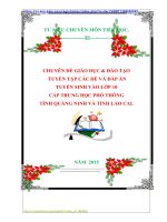 CHUYÊN ĐỀ GIÁO DỤC  ĐÀO TẠO  TUYỂN TẬP CÁC ĐỀ VÀ ĐÁP ÁN  TUYỂN SINH VÀO LỚP 10 CẤP TRUNG HỌC PHỔ THÔNG TỈNH QUẢNG NINH VÀ TỈNH LÀO CAI.