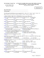 Đề thi thử THPT quốc gia môn Hóa (21)