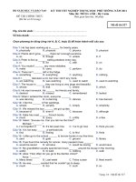 Đề thi thử đại học môn Tiếng Anh (24)