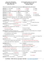 Đề thi thử THPT quốc gia môn Tiếng Anh số 312