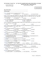 Đề thi thử THPT quốc gia môn Hóa (17)