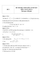 Đề thi HSG môn Toán lớp 12 Cấp huyện - Đề 3