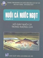 Ebook Nuôi cá nước ngọt (Tập 3- Hỏi đáp nuôi cá trong ruộng lúa) - NXB Lao động xã hội