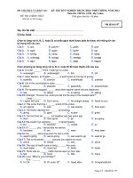 Đề thi thử đại học môn Tiếng Anh (19)