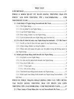 Hoạt động cho vay tiêu dùng tại Ngân hàng Thương mại cổ phần Sài Gòn Thương tín ( Sacombank) – Chi nhánh Hà Nam