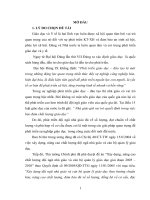 Biện pháp phát triển đội ngũ giảng viên của trường Cao đẳng Y tế Điện Biên trong giai đoạn hiện nay