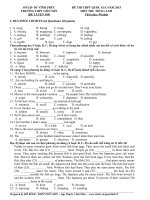 Đề thi thử THPT quốc gia môn Tiếng Anh số 309