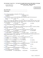 Đề thi thử THPT quốc gia môn Hóa (12)