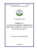 Nghiên cứu tác dụng hỗ trợ điều trị bệnh gút trên thực nghiệm của hạt cần tây