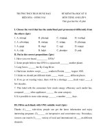 Đề kiểm tra học kì II lớp 9 môn tiếng Anh - Trường THCS Trần Hưng Đạo, Đồng Nai