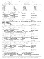 Đề khảo sát chất lượng môn Tiếng Anh ôn thi đại học số 28