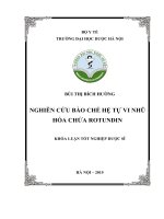 Nghiên cứu bào chế hệ tự vi nhũ hóa chứa rotundin