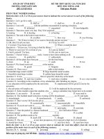 Đề thi thử THPT quốc gia môn Tiếng Anh số 13