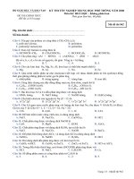 Đề thi thử THPT quốc gia môn Hóa (18)