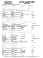 Đề khảo sát chất lượng môn Tiếng Anh lớp 12 ôn thi THPT Quốc gia số 203