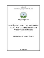 Nghiên cứu bào chế liposome mang phức amphotericin b với cyclodextrin