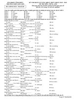 Đề khảo sát tiếng anh lớp 10 số 1