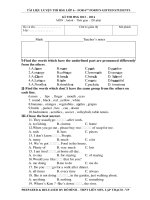 Đề luyện thi hoc sinh giỏi môn Tiếng Anh lớp 6 số 41