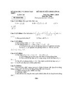 đề ôn thi vào lớp 10 môn toán tham khảo, đề  43